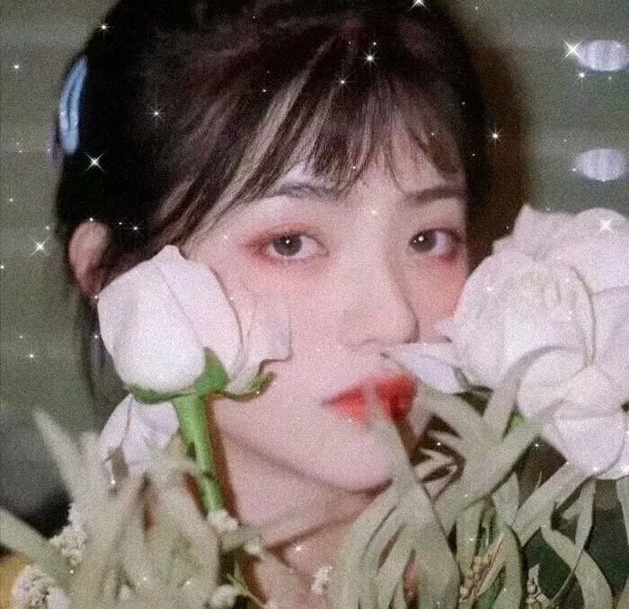 暴风雨之星